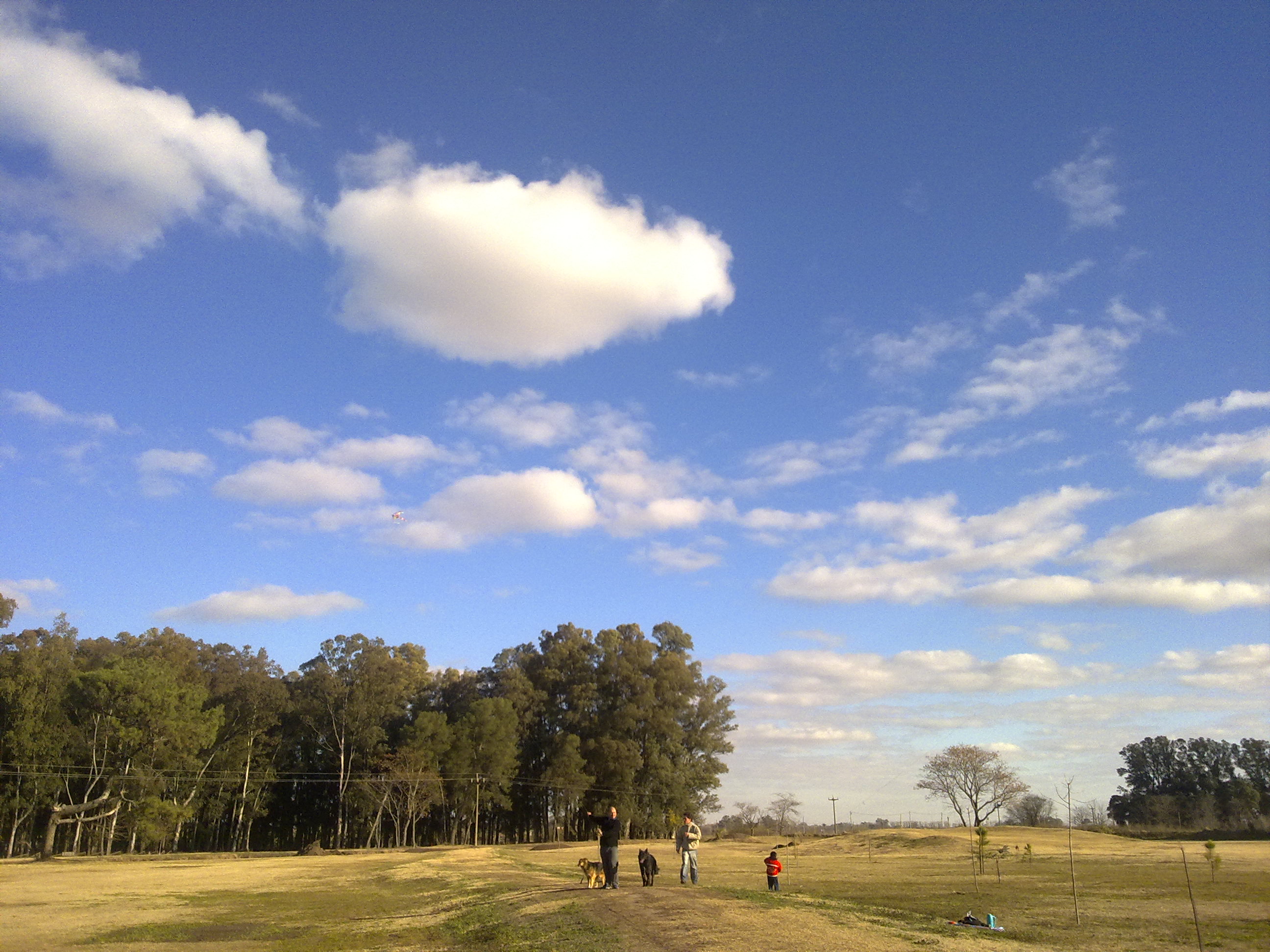 fotos/2010-08-15 - Barrileteada/15082010553.jpg